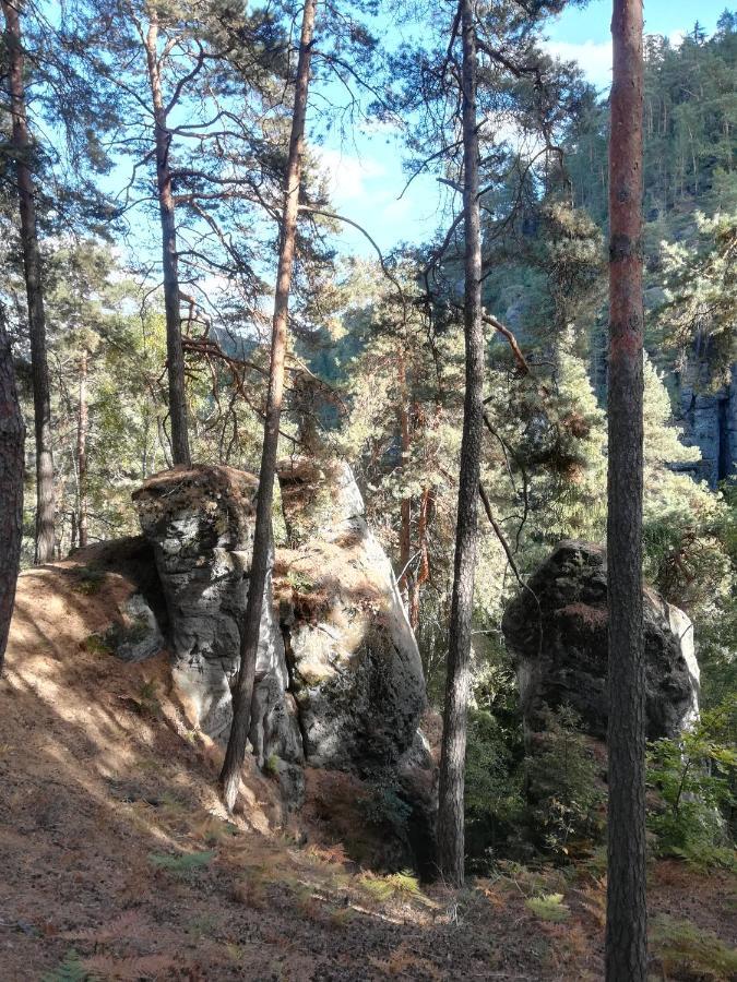 Pension Kral Jablonec nad Nisou Eksteriør billede